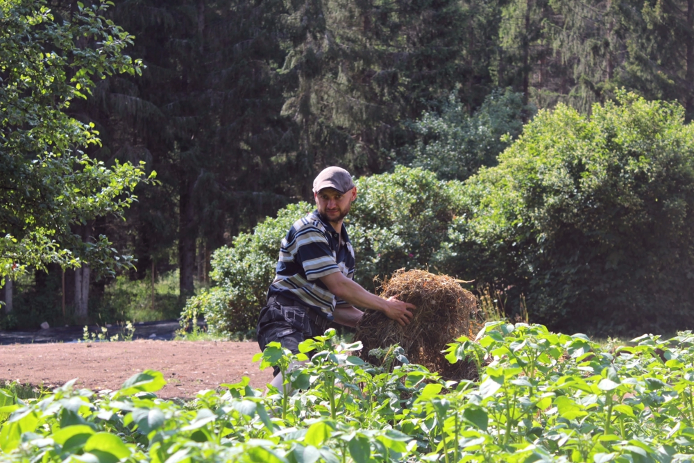 A farmer holding a heap of hay, surrounded by trees and shrubs